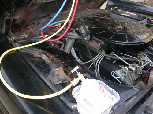 DSCN4059.JPG