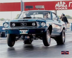 mustangsig.jpg